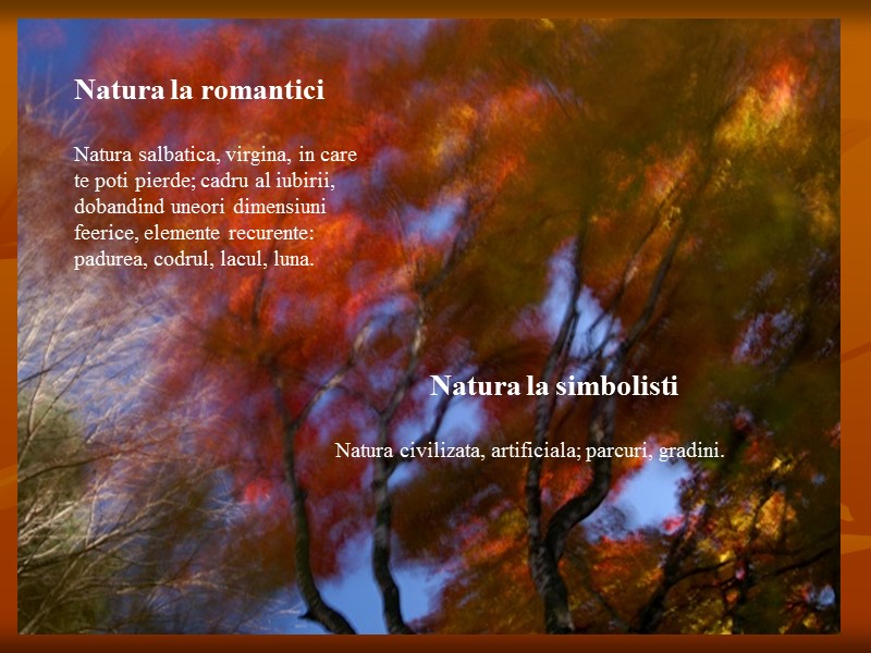 Natura la romantici  Natura salbatica, virgina, in care te poti pierde; cadru al